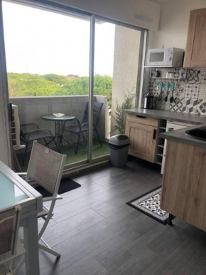 Carnon plage : bel appartement bien citué